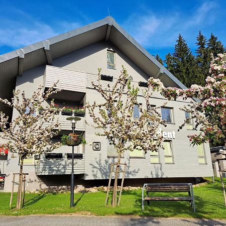 Resident Harrachov Family Apartment Extérieur photo