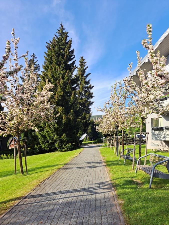 Resident Harrachov Family Apartment Extérieur photo